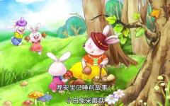 关于小白兔的故事,小白兔的奇幻冒险与成长故事