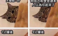 起床搞笑图片笑死人,起床搞笑图片，笑出腹肌的瞬间