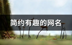 搞笑网名能笑死人的简短,盘点那些能笑死人的搞笑网名