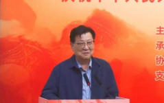 啊 好痛 嗯 轻一点快点,轻柔加速疗法概述