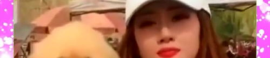 小姐姐不愿意欺负金毛狗,小姐姐与金毛狗的和谐共处